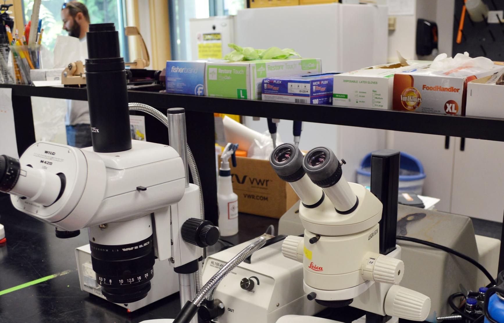 Microscopes and equipment