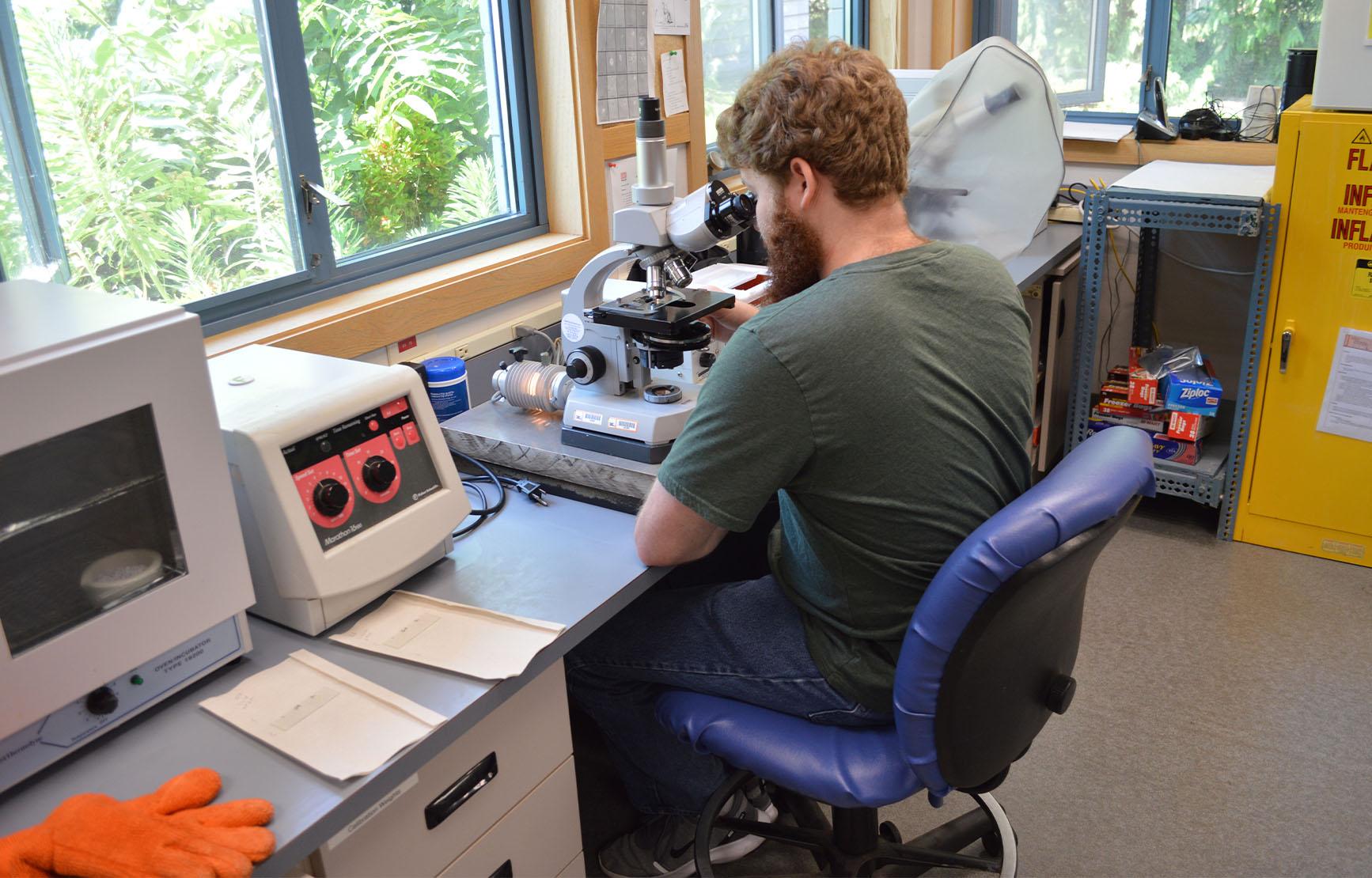Researcher using microscope in dry lab