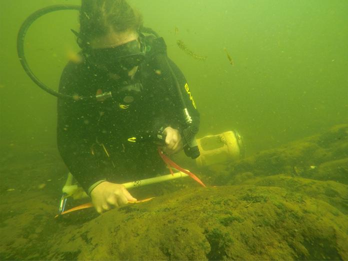 Julie Alexander underwater in SCUBA gear